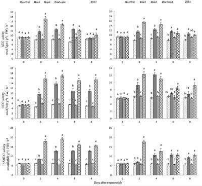 The Variation Tendency of Polyamines Forms and Components of Polyamine Metabolism in Zoysiagrass (Zoysia japonica Steud.) to Salt Stress with Exogenous Spermidine Application